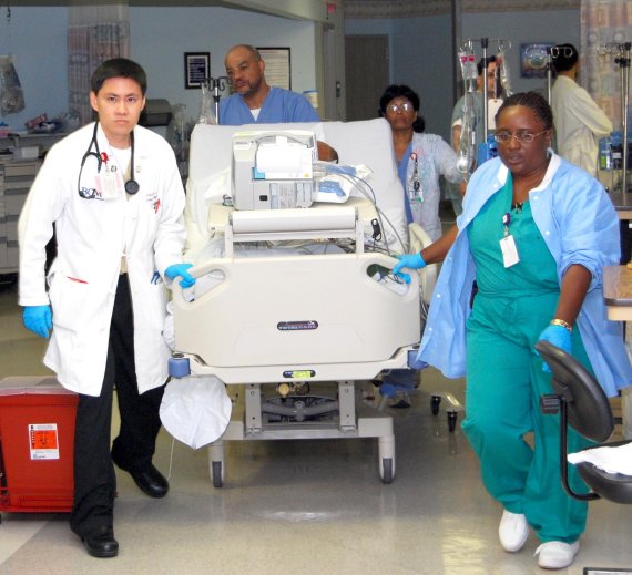 Please Disseminate This Important Call To Action Nurses As Leaders In